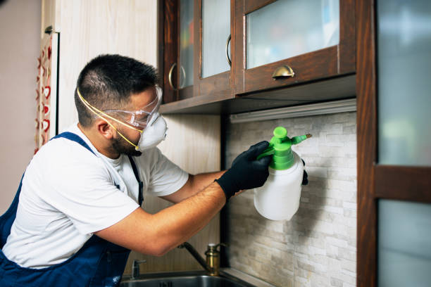 Reliable Lake Orion, MI Pest Control Solutions