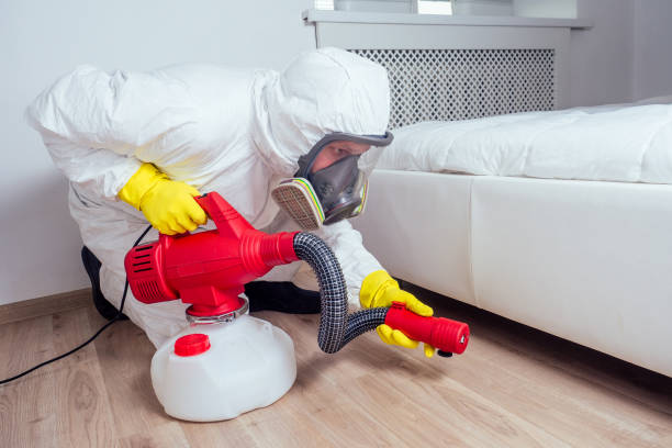 Best Local Pest Control Services  in Lake Orion, MI