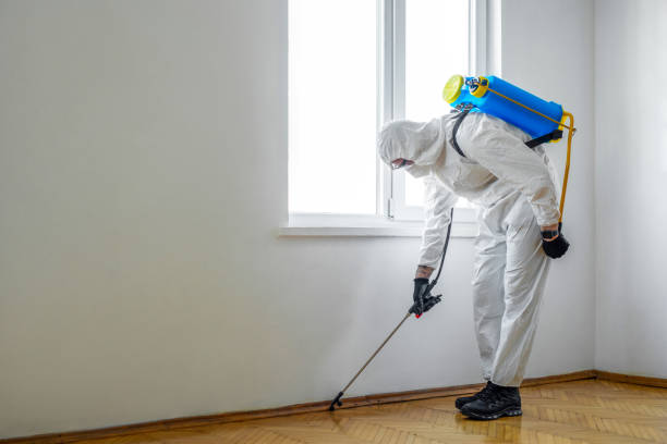 Best Local Pest Control Services  in Lake Orion, MI