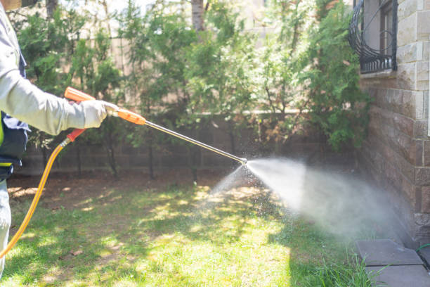 Best Mosquito Control Services  in Lake Orion, MI