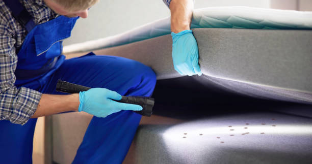 Best Ant Control Services  in Lake Orion, MI