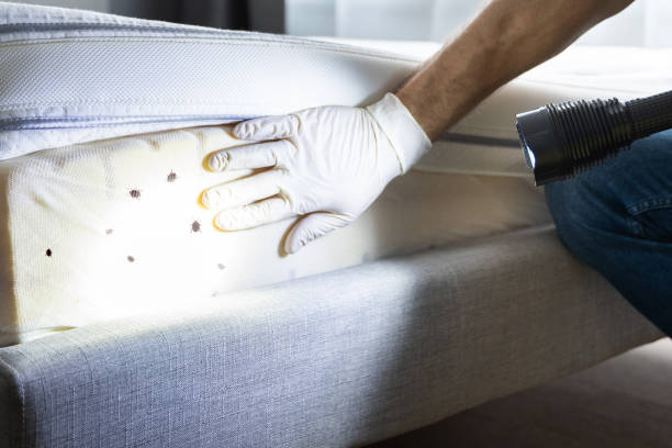 Pest Control Cost in Lake Orion, MI