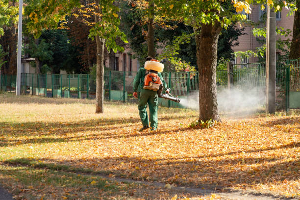 Best Residential Pest Control  in Lake Orion, MI