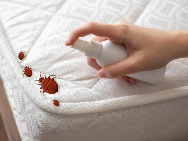 Best Pest Control Treatment  in Lake Orion, MI