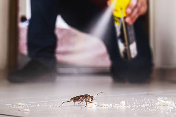 Best Wasp Removal Services  in Lake Orion, MI