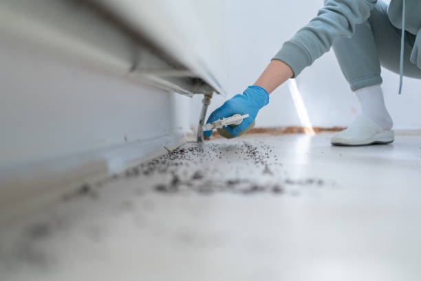 Best Pest Control for Businesses  in Lake Orion, MI